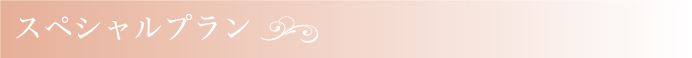スペシャルプラン